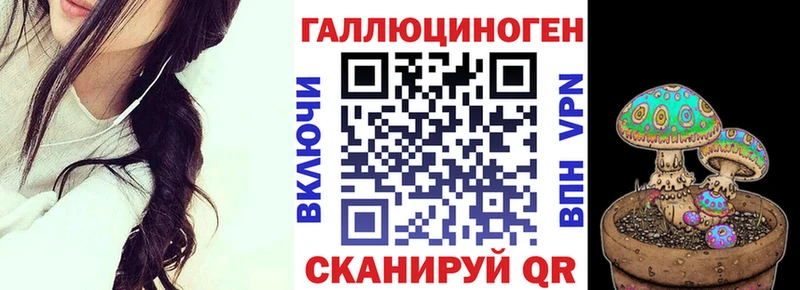 Купить  Туринск  Псилоцибиновые грибы Psilocybe