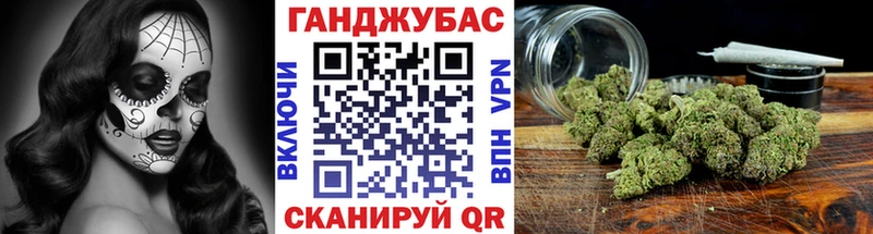 Купить где  Туринск  Каннабис сатива 